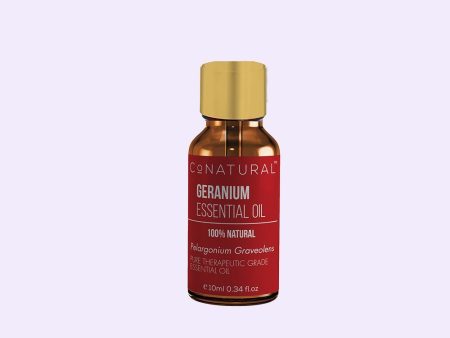 Geranium Essential Oil Sale