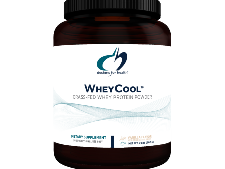 Designs for Health WheyCool - Vanilla Flavor Online