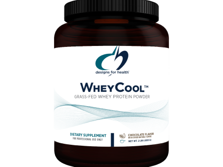 Designs for Health WheyCool - Chocolate Flavor Hot on Sale