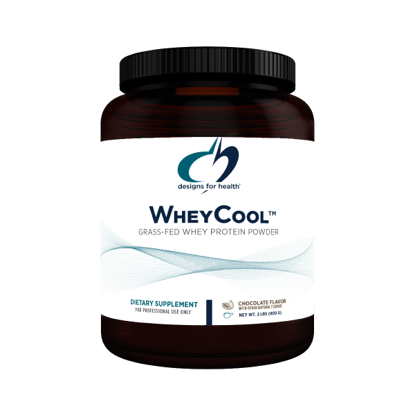 Designs for Health WheyCool - Chocolate Flavor Hot on Sale